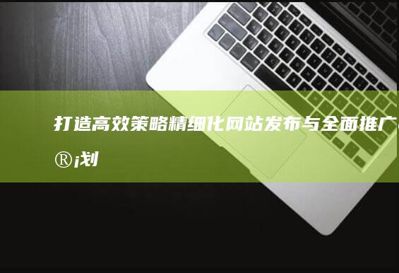 打造高效策略：精细化网站发布与全面推广计划